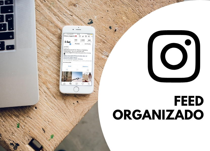 Feed Organizado e Profissional no Instagram
