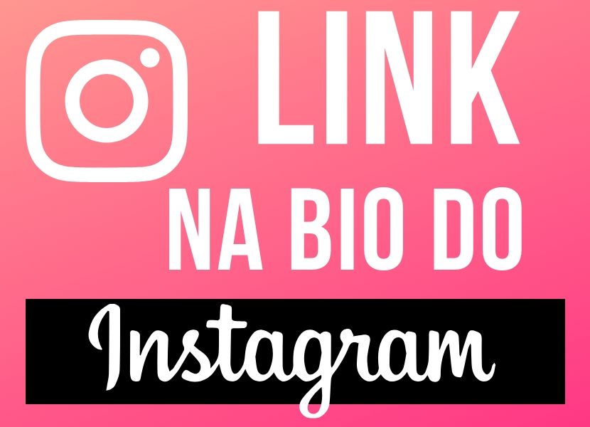 Onde Fica o Link na BIO do Instagram?